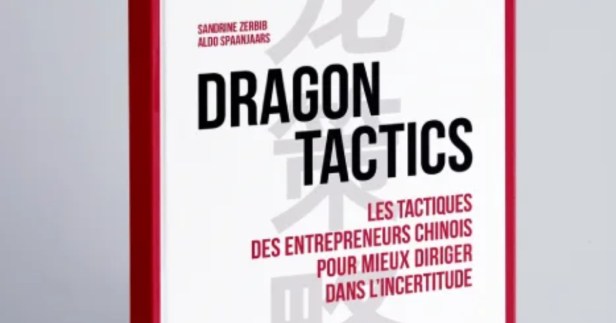 Dragon tactics, par Sandrine Zerbib et Aldo&nbsp;Spaanjaars